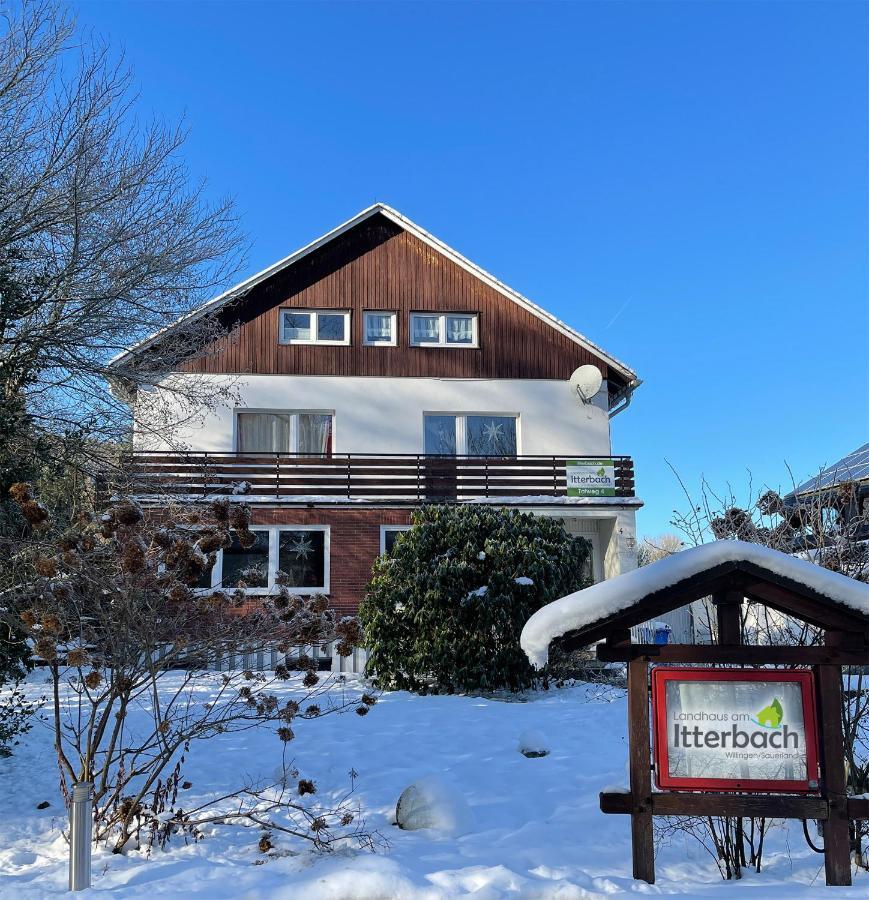 Landhaus Am Itterbach Willingen 维林根 外观 照片