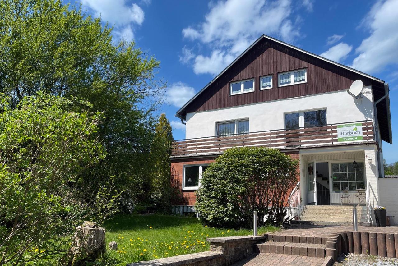 Landhaus Am Itterbach Willingen 维林根 外观 照片