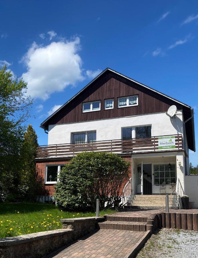 Landhaus Am Itterbach Willingen 维林根 外观 照片